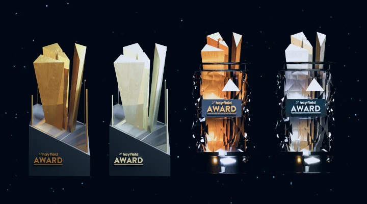 hayfieldAWARD（2022版）